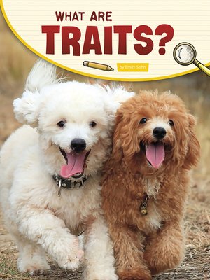 cover image of What Are Traits?